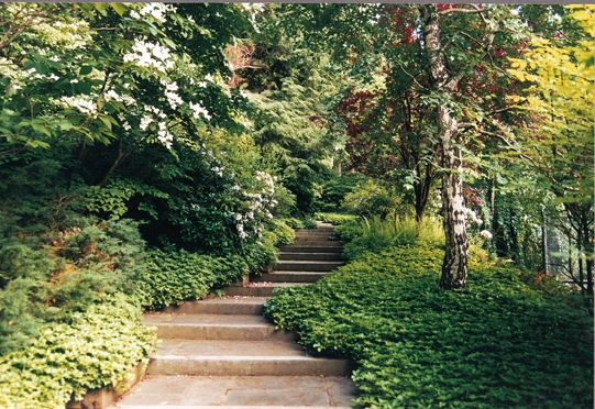 Mount Kisco Architect architect Peter Kurth